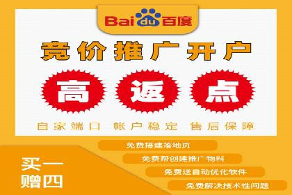 百度竞价推广公司经典案例解析：广告投放策略的智慧